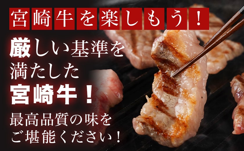 宮崎牛バラ焼肉500g(真空)_14-8903