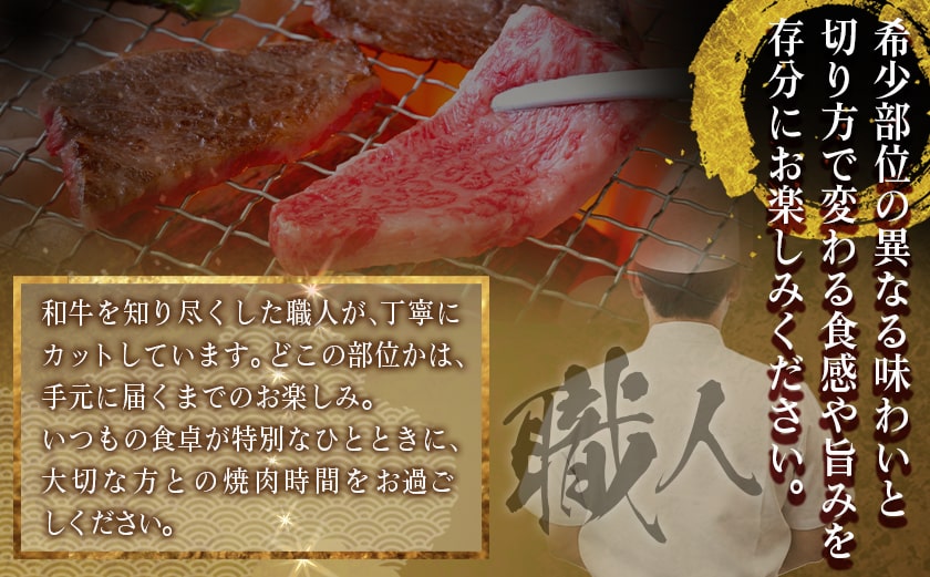 牛肉好き必見!宮崎牛希少部位の焼肉☆お楽しみ3種盛(100g×3種)_14-J702