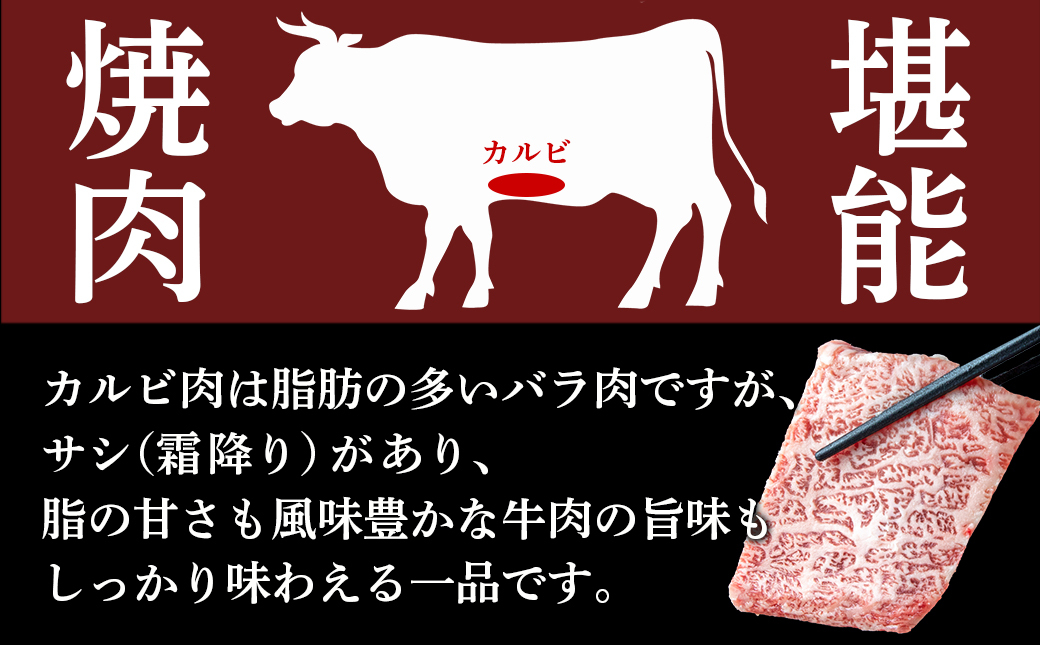宮崎牛カルビ焼肉用600g_16-2501_【肉 牛肉 焼き肉 焼肉 人気 おすすめ 国産 宮崎県産】