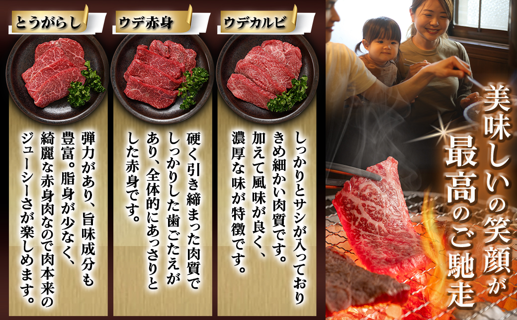 宮崎牛赤身6種600g_16-2601_【肉 牛肉 焼き肉 焼肉 人気 おすすめ 国産 宮崎県産】