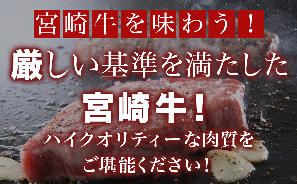 宮崎牛肩ロースステーキ250g×2枚_16-8903