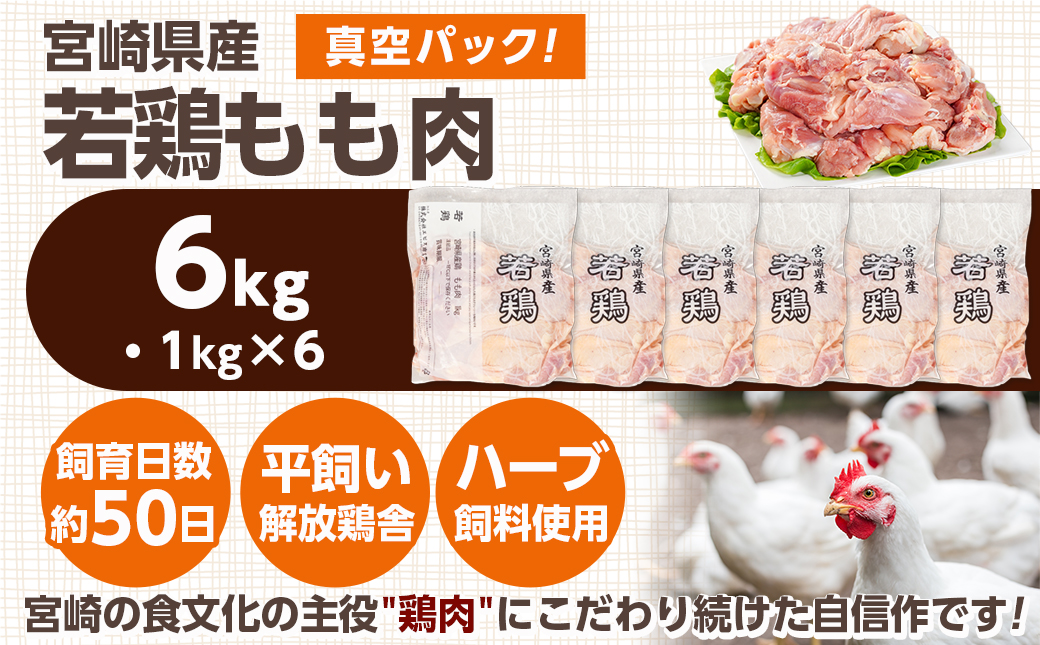 宮崎県産若鶏 もも肉(6kg)_16-G301