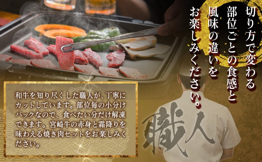 宮崎牛【赤身&霜降り】焼肉セット_16-J701