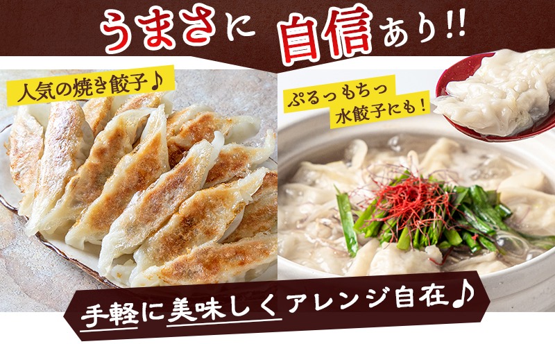 ばあちゃん本舗餃子180個_17-1512