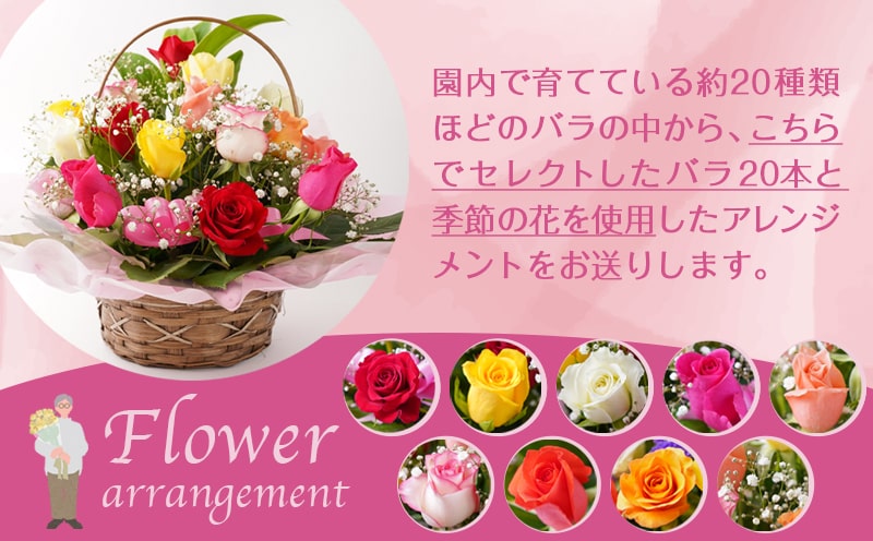 【母の日】バラのアレンジメント20本(ミックス)≪5月7日～10日お届け≫_17-3302-MG