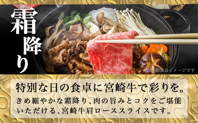 宮崎牛【とろ旨】すきしゃぶ500g_17-6503