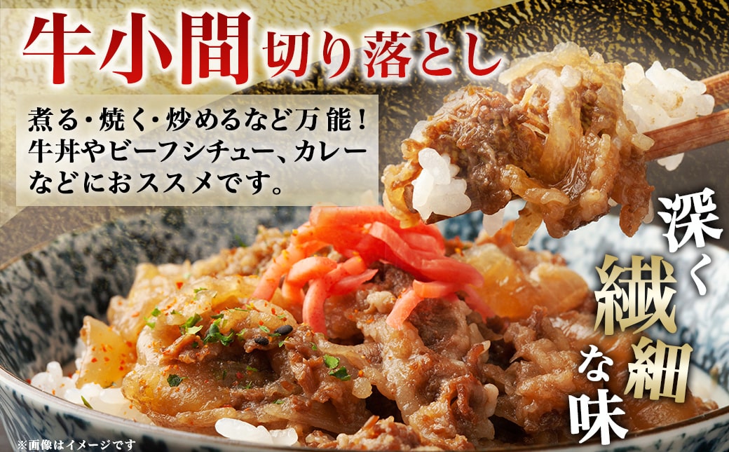 宮崎牛こま切り落とし1kg_18-4207_【肉 牛肉 切り落とし 焼き肉 焼肉 スライス すき焼き しゃぶしゃぶ 人気 おすすめ 国産】