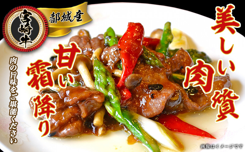 宮崎牛切り落とし1kg_18-6401