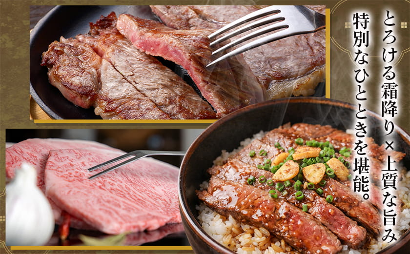 宮崎牛ロースステーキ180g×3枚_19-31-001