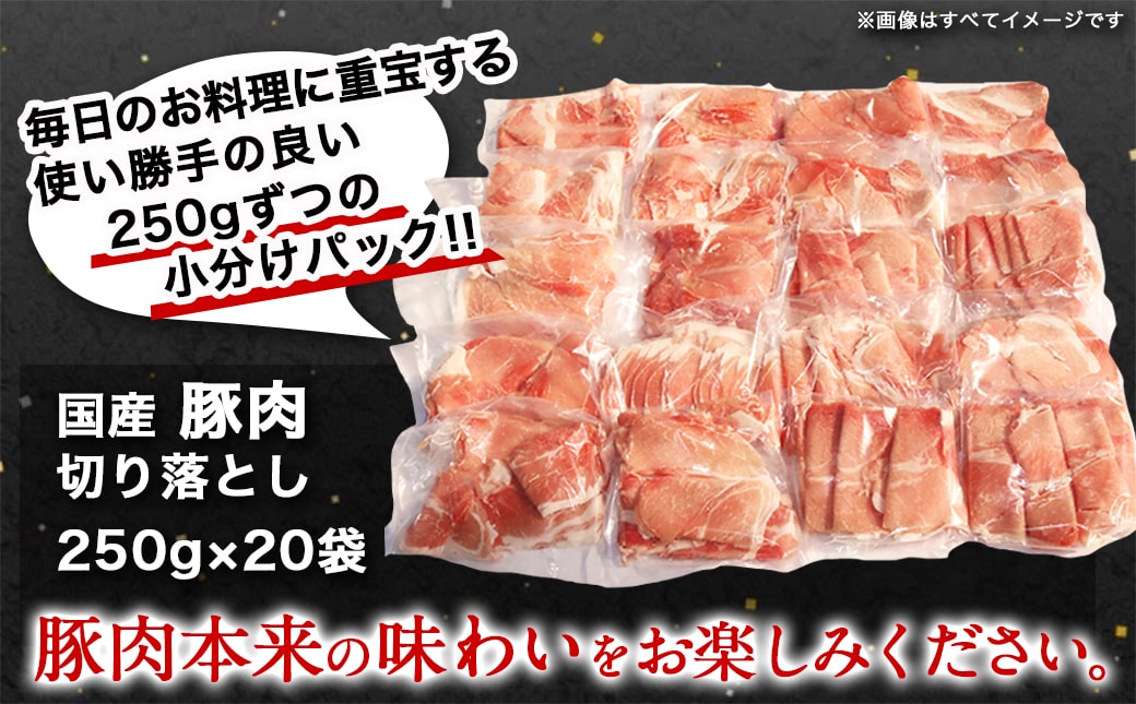 国産豚肉切り落とし5kgラッキーセット_19-3601