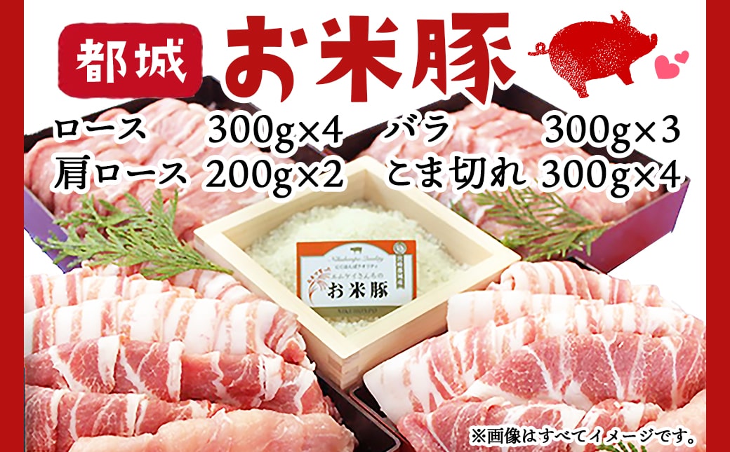 お米豚3.7kgセット≪みやこんじょ快速便≫_23-3101-R