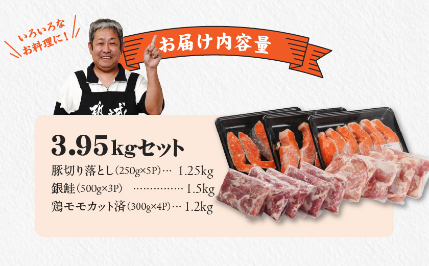 ≪肉×魚≫小分け3種セット(豚切り落とし250g×5P・鶏モモカット済300g×4P・銀鮭500g×3P)_23-8401