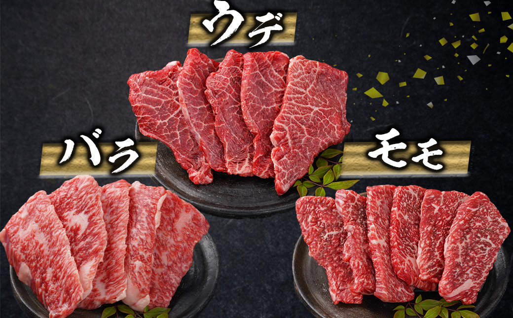 ≪希少部位ヒレ入り!≫ 宮崎牛【特選】6種盛 焼肉堪能セット 600g_24-6502_【肉 牛肉 焼き肉 焼肉 人気 おすすめ 国産 宮崎県産】