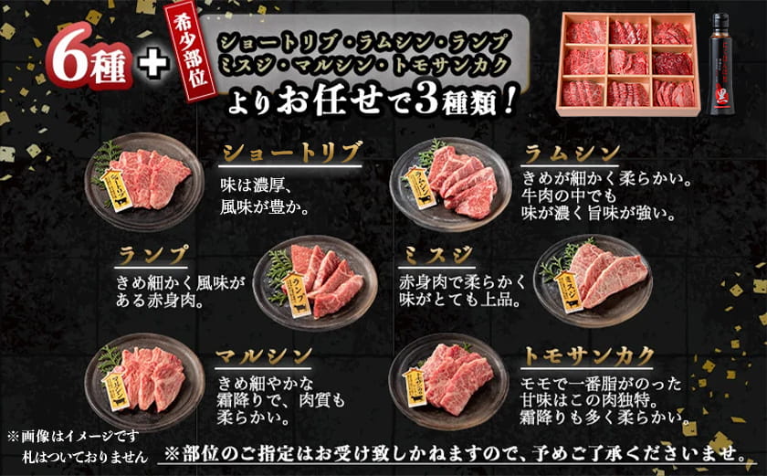 宮崎牛焼肉食べ比べ9種盛_32-31-007_【肉 牛肉 焼き肉 焼肉 人気 おすすめ 国産 宮崎県産】