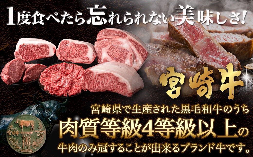 宮崎牛サーロインステーキ(200g×5枚)_38-N402