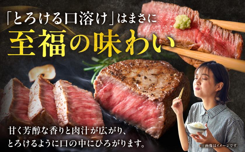 宮崎牛ヒレステーキ150g×4枚_48-N201