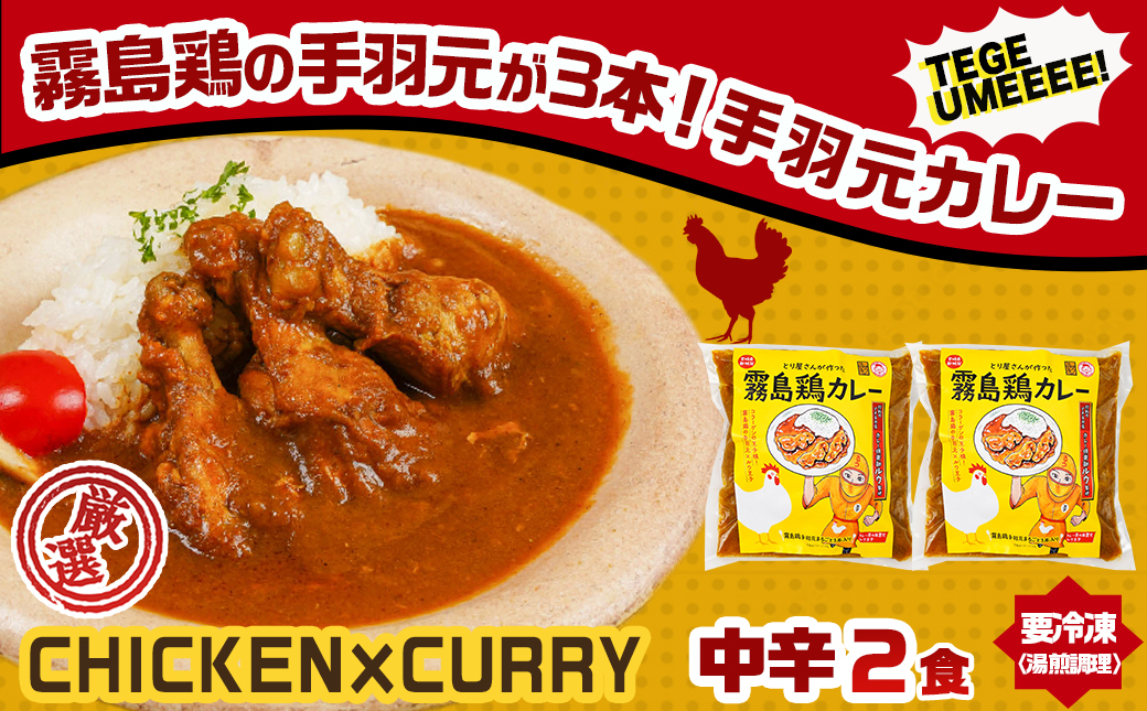 カレー倶楽部ルウのビーフカレー10食&手羽元カレー2食セット_AA-2709