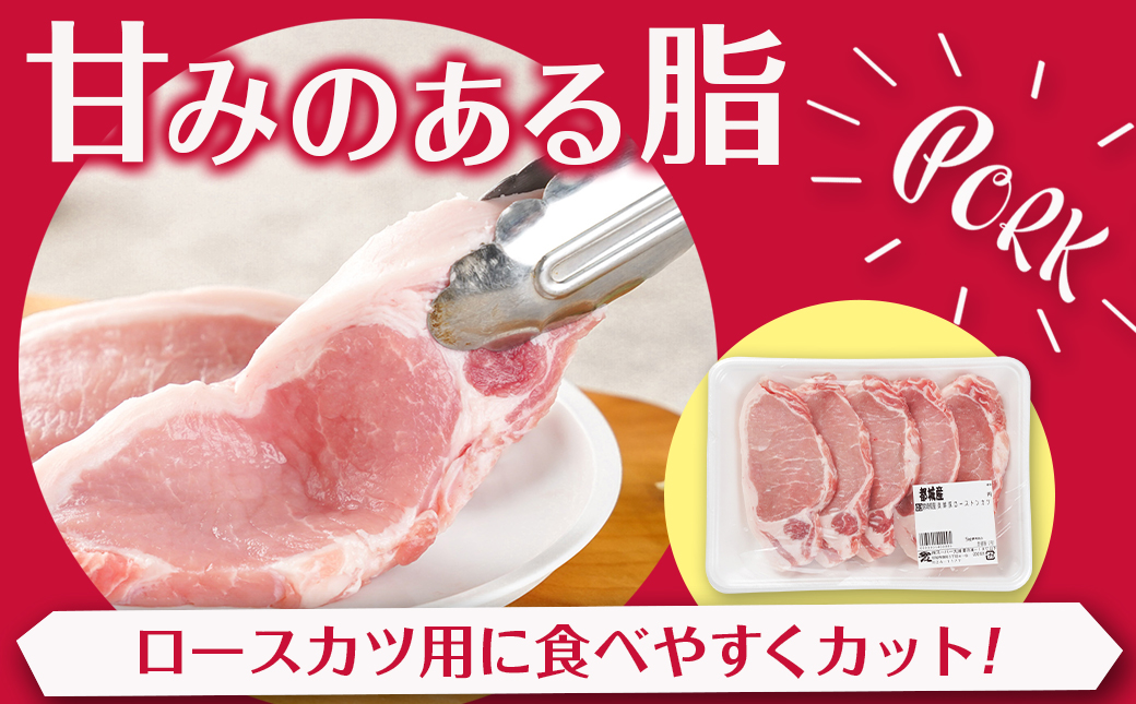 都城美鮮豚ロースカツ用10枚セット_AA-5402