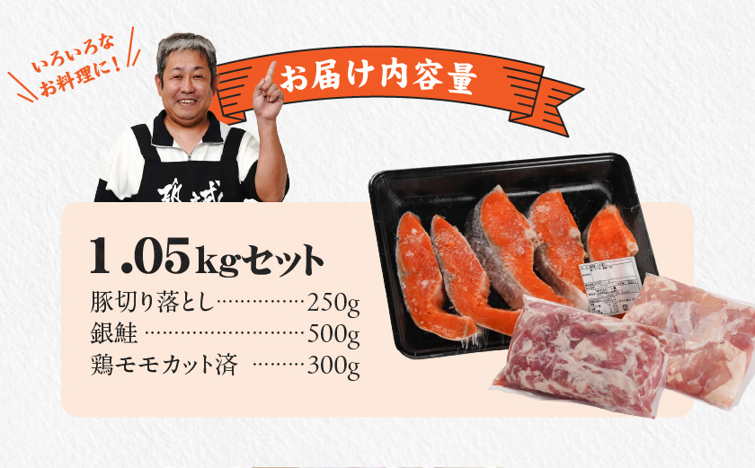 ≪肉×魚≫小分け3種セット(豚切り落とし250g・鶏モモカット済300g・銀鮭500g)_AA-8413