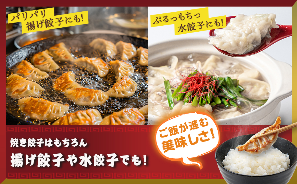 餃子&「観音池ポーク」プレーン・チーズメンチカツのセット_AA-9231