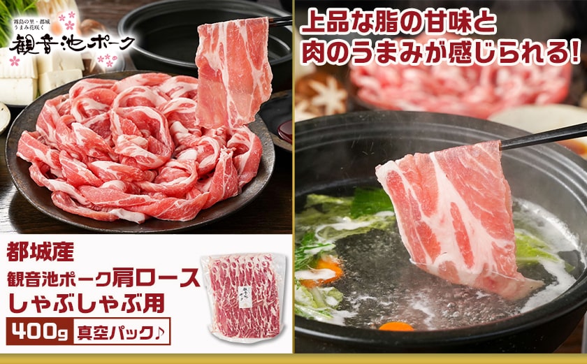 観音池ポークしゃぶ2種&宮崎県産豚切り落とし【総重量1.4kg】_AA-9233