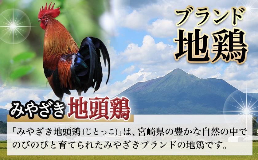 【たしろ屋】みやざき地頭鶏のたたき300g_AA-9907