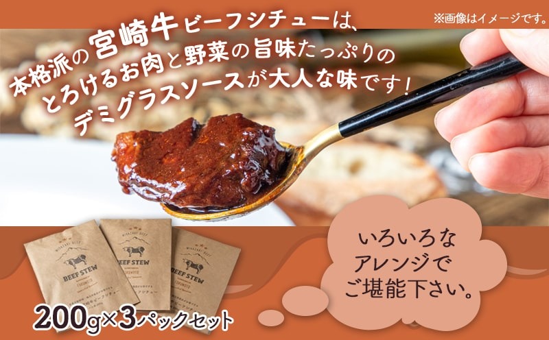 【福袋★2026】とろける宮崎牛ビーフシチュー3パックセット_AA-H301-F2026