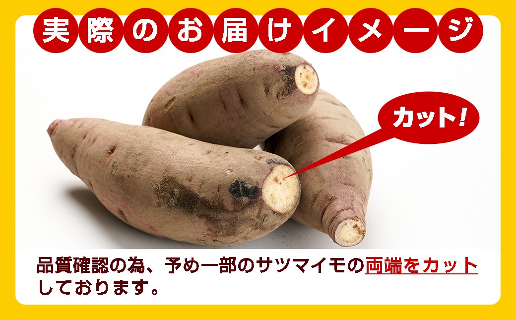 【農家直送】山下農園　熟成紅はるか 10kg_AA-I705