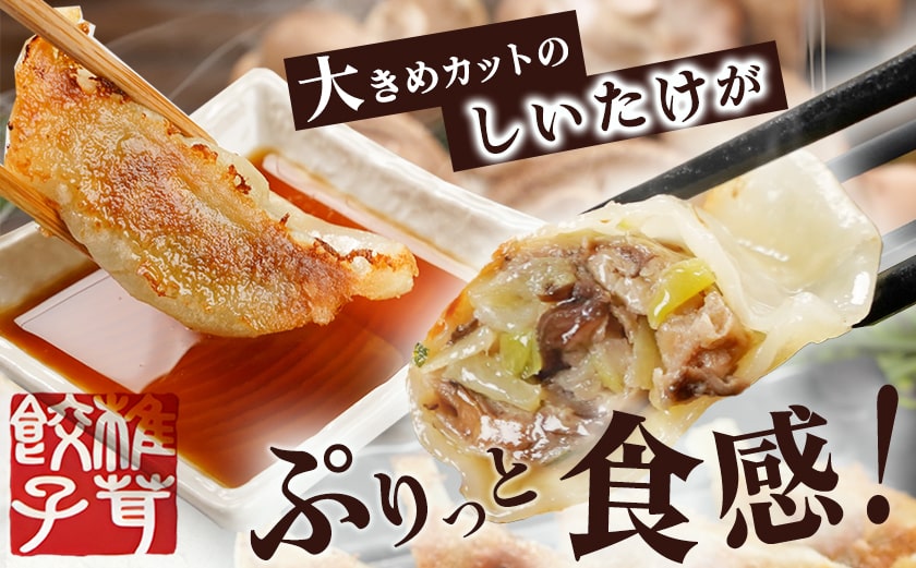 しいたけ屋さんの旨ぎょうざ_AA-M101