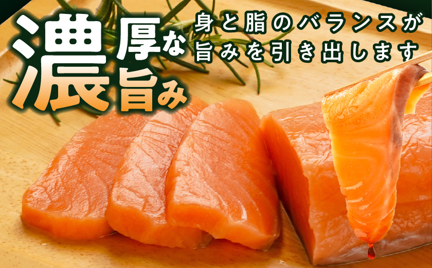 アトランティックサーモン500g_AA-M302