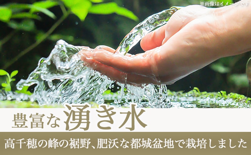 都城産ひのひかりギフトBOX (450g×6個)_AC-2203