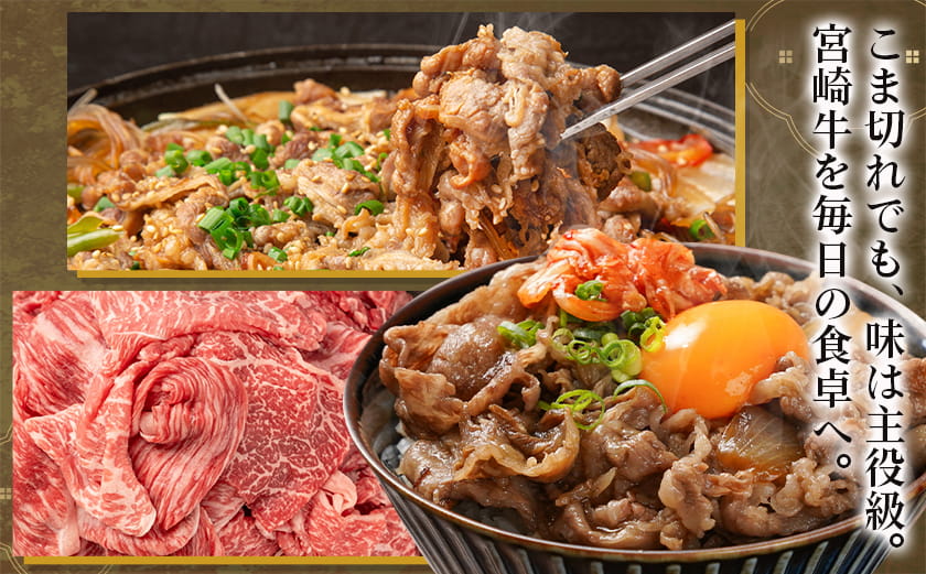 宮崎牛こま切れ1kg(黒たれ付)_AC-31-008