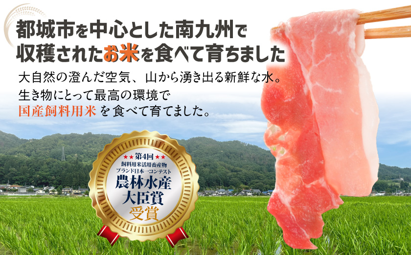 「お米豚」こま切れ4.2kg(黒たれ付)_AC-3105