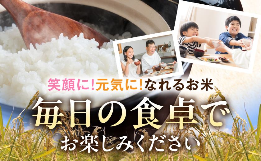 都城産米と国産米ブレンド 10kg≪みやこんじょ特急便≫_AC-33-001-10kg-Q