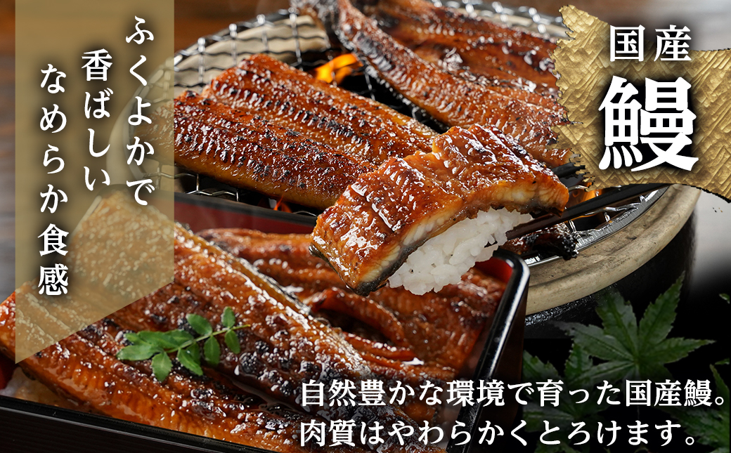 【元気モリモリ福袋】職人手焼きうなぎ蒲焼き2尾＆豚ロースステーキ6枚_AC-3305