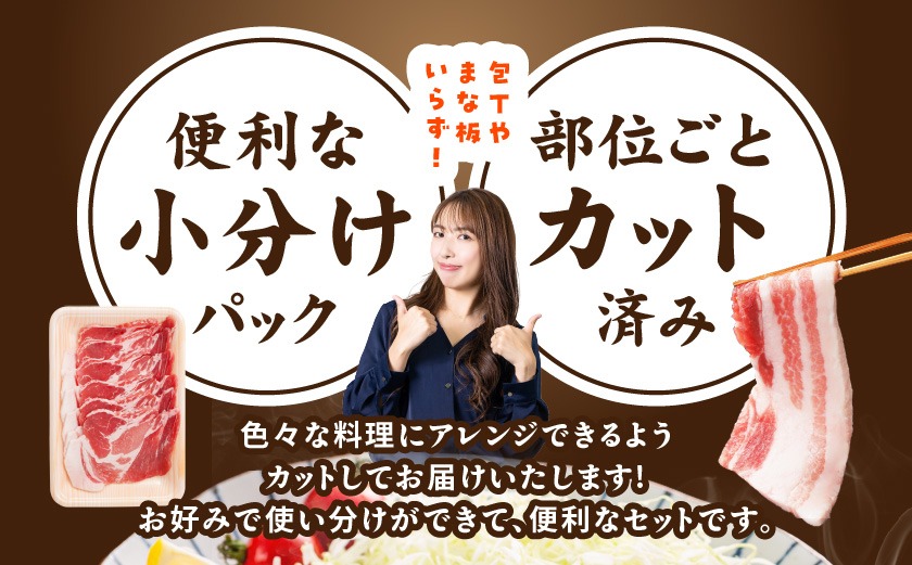 「高城の里」わくわく4.1kgセット(真空)≪みやこんじょ快速便≫_AC-8402-s-R