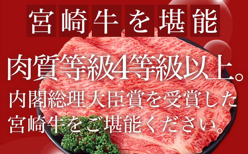 宮崎牛肩ローススライス800g_AC-8911