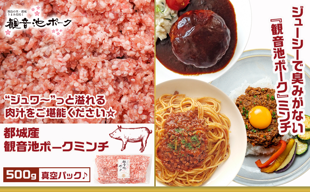 観音池ポークロースとんかつ用【訳あり】&ミンチ・宮崎県産切り落とし4.2kgセット_AC-9221