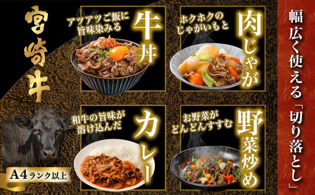 宮崎牛赤身切り落とし(500g×2P)_AC-N403_【肉 牛肉 切り落とし 焼き肉 焼肉 スライス すき焼き しゃぶしゃぶ 人気 おすすめ 国産】