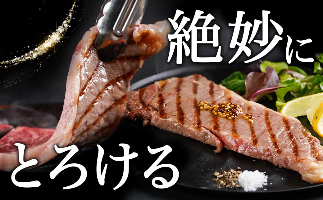 宮崎牛サーロインステーキ200g×3枚_AD-2603