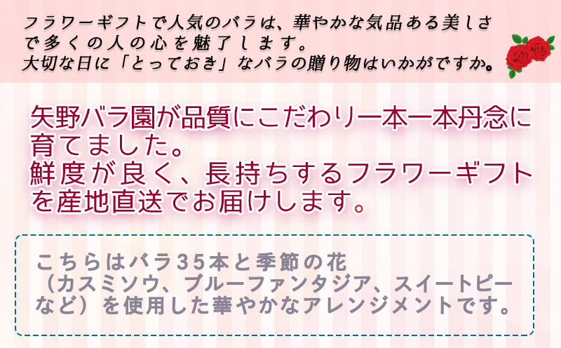 【母の日】バラのアレンジメント35本(ミックス)≪5月7日～10日お届け≫_AD-3302-MG