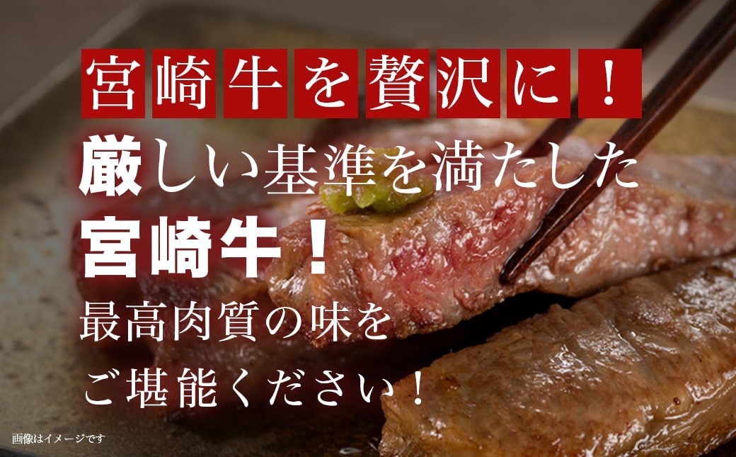 【父の日】宮崎牛サーロインステーキ200g×5枚≪6月18日～21日お届け≫_AE-8904-FG