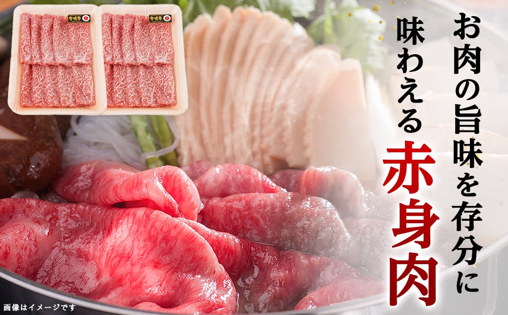 【福袋★2026】宮崎牛霜降りスライス500g×赤身牛すきスライス500gセット+100g_AE-I502-F2026