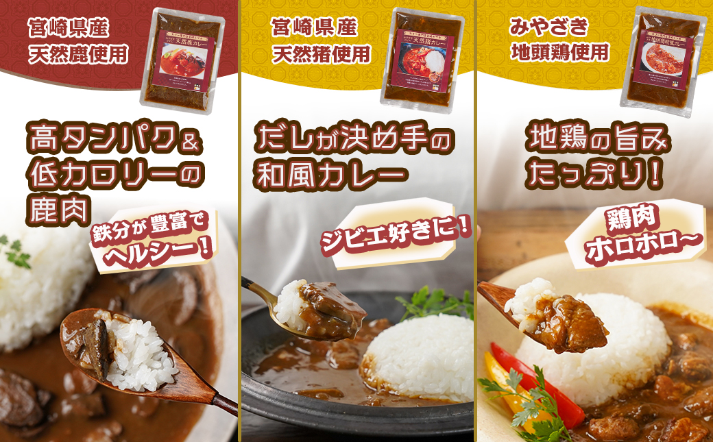 【福袋★2026】カリー専門店☆トプカのオリジナルカレー6種20食セット+2食_AE-J901-F2026