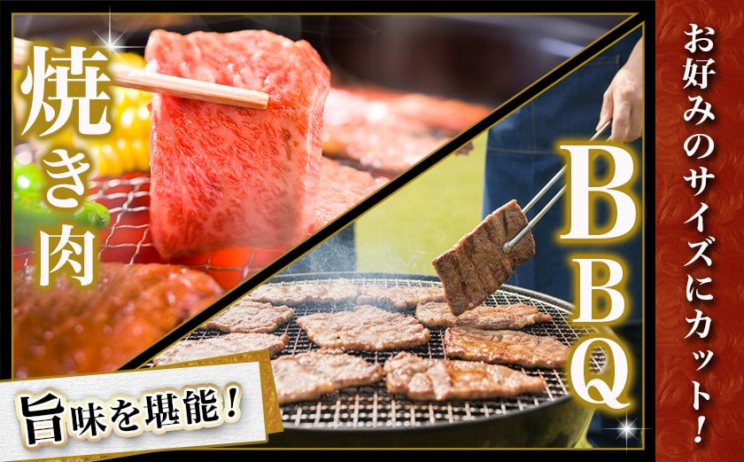 宮崎牛リブロース鉄板焼き用 (300g×4枚)_AE-N403