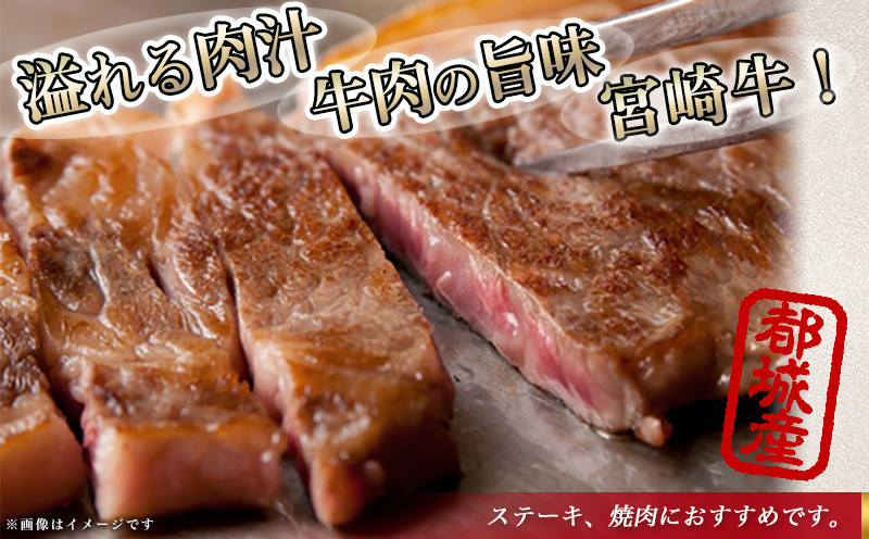 【お歳暮】宮崎牛サーロインブロック1kg≪11月17日～12月21日お届け≫_AF-2501-WG