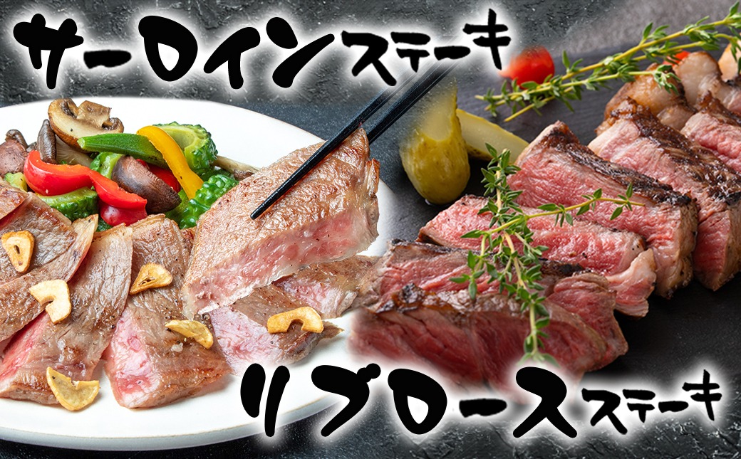 【福袋★2026】宮崎牛ステーキ福袋セット_AF-2502-F2026