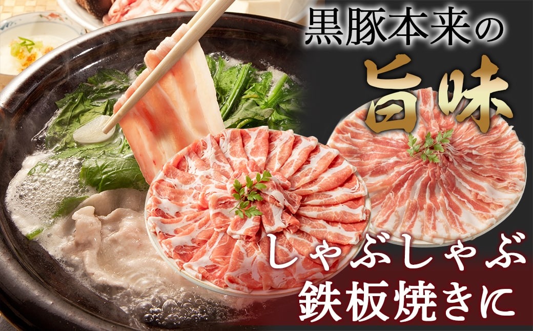 【福袋★2026】宮崎牛&黒豚 すき焼きしゃぶしゃぶ満喫セット_AI-2502-F2026