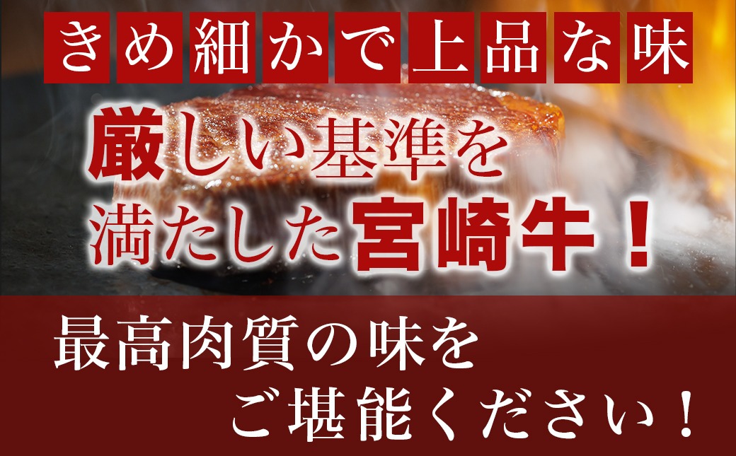 宮崎牛シャトーブリアンブロック1kg_AJ-8901