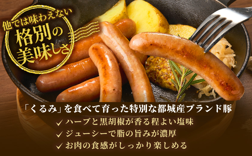 都城産「くるみとん」ソーセージ100g×10パック_AO-7705